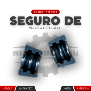 SEGURO DE VÁLVULA AUCAN 4F20T
