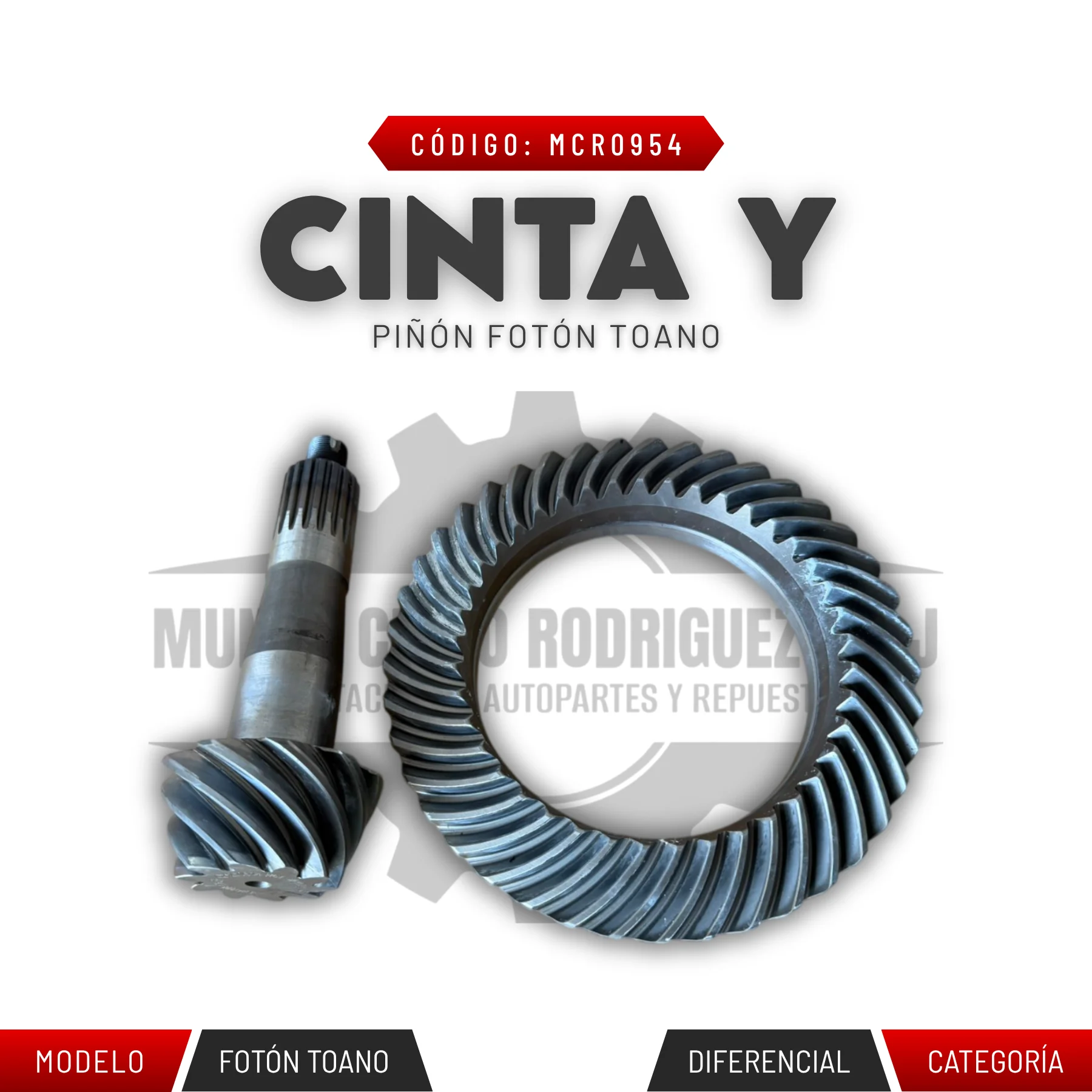 CINTA Y PIÑÓN FOTÓN TOANO