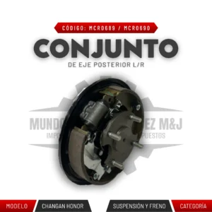 CONJUNTO DE EJE POSTERIOR L/R