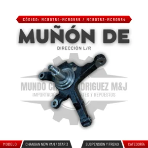 MUÑÓN DE DIRECCIÓN L/R