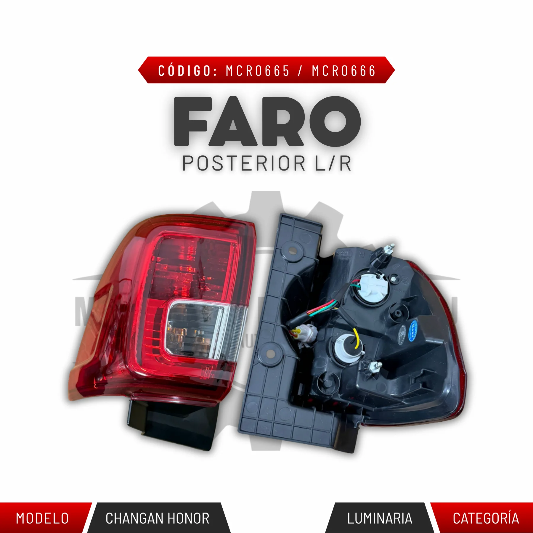 FARO POSTERIOR L/R