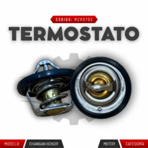 TERMOSTATO