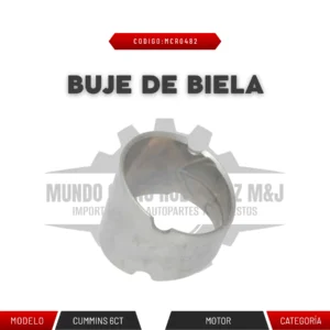 BUJE DE BIELA