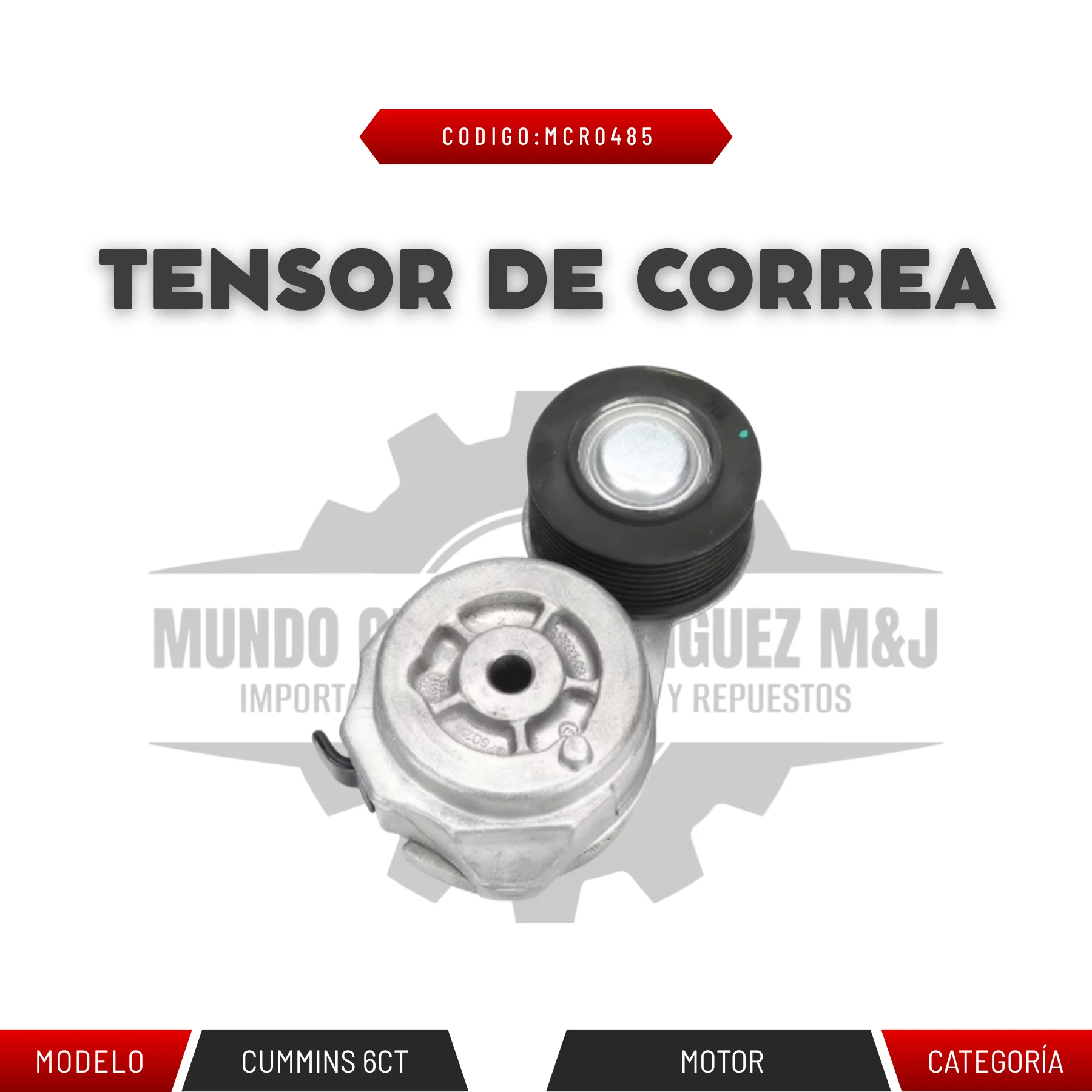 TENSOR DE CORREA