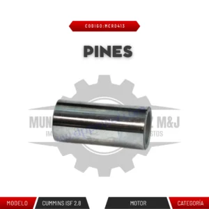 PINES