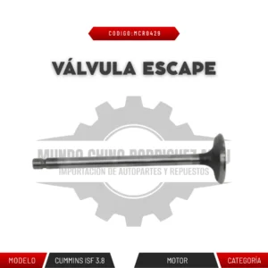 VALVÚLA DE ESCAPE