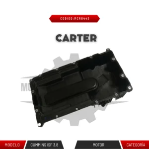 CARTER