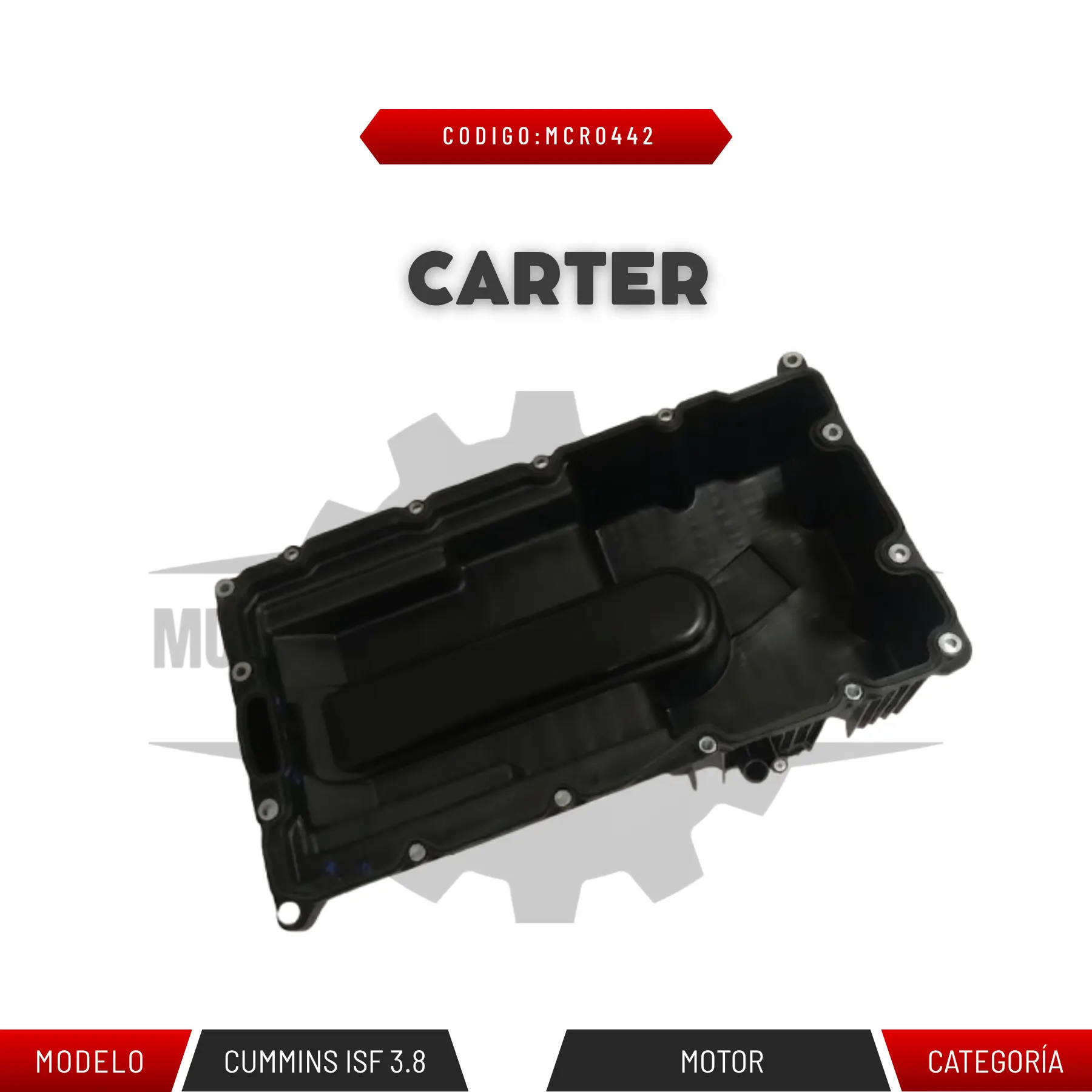CARTER