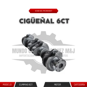 CIGÜEÑAl 6CT