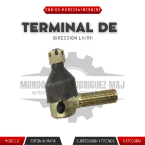 TERMINAL DE DIRECCIÓN LH/RH
