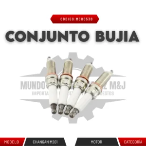 CONJUNTO BUJIA