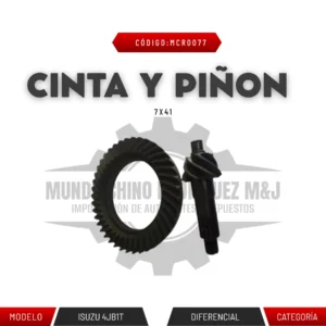 CINTA Y PIÑON 7X41