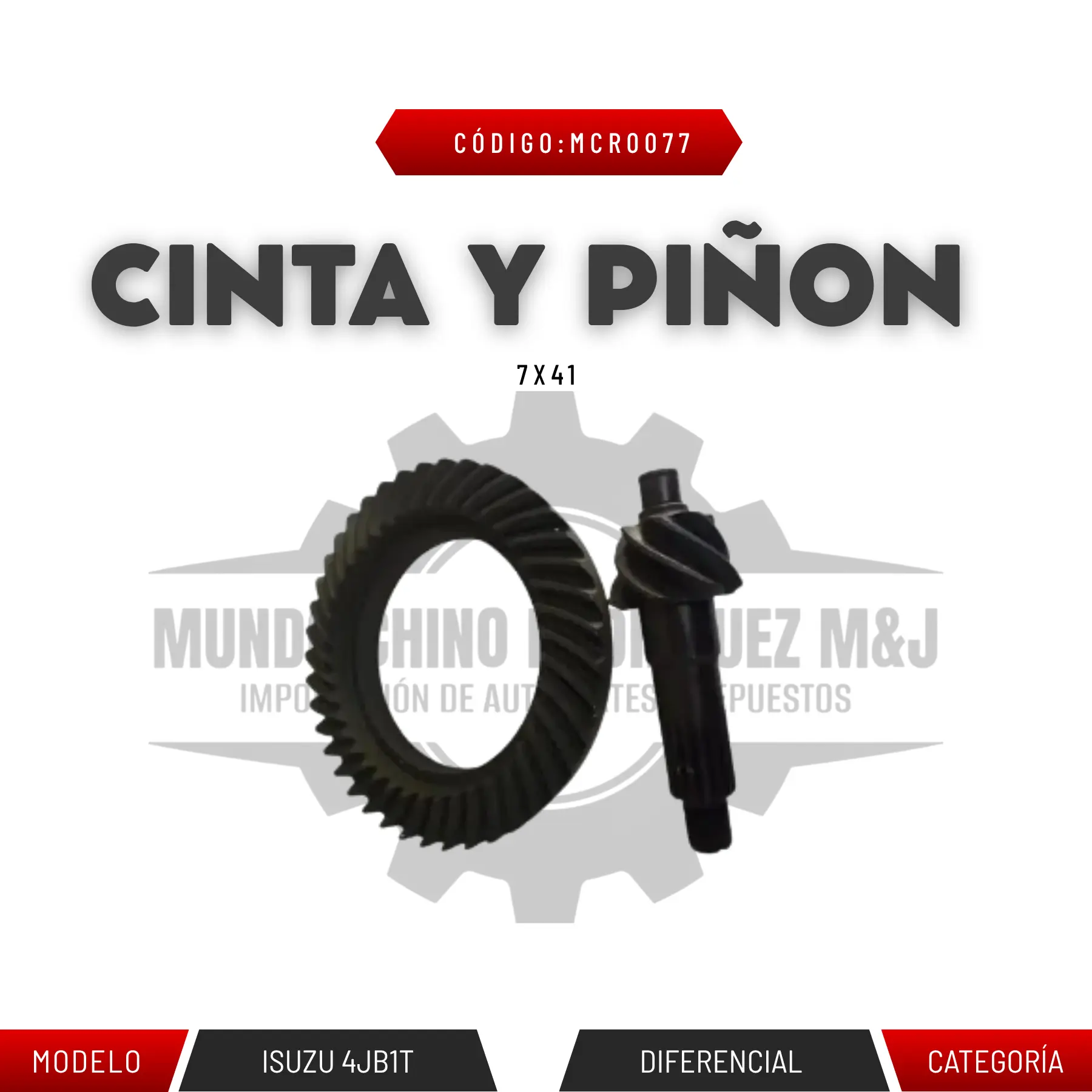CINTA Y PIÑON 7X41