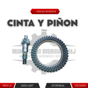 CINTA Y PIÑON 7X43