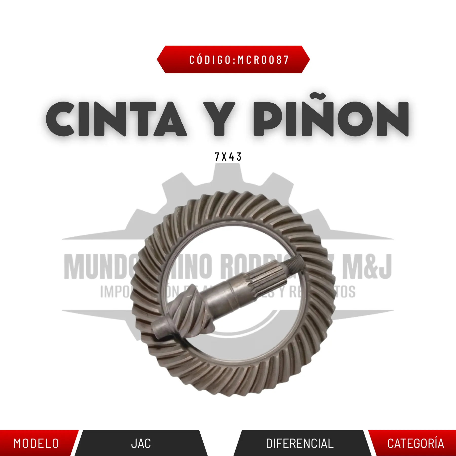 CINTA Y PIÑON 7X43