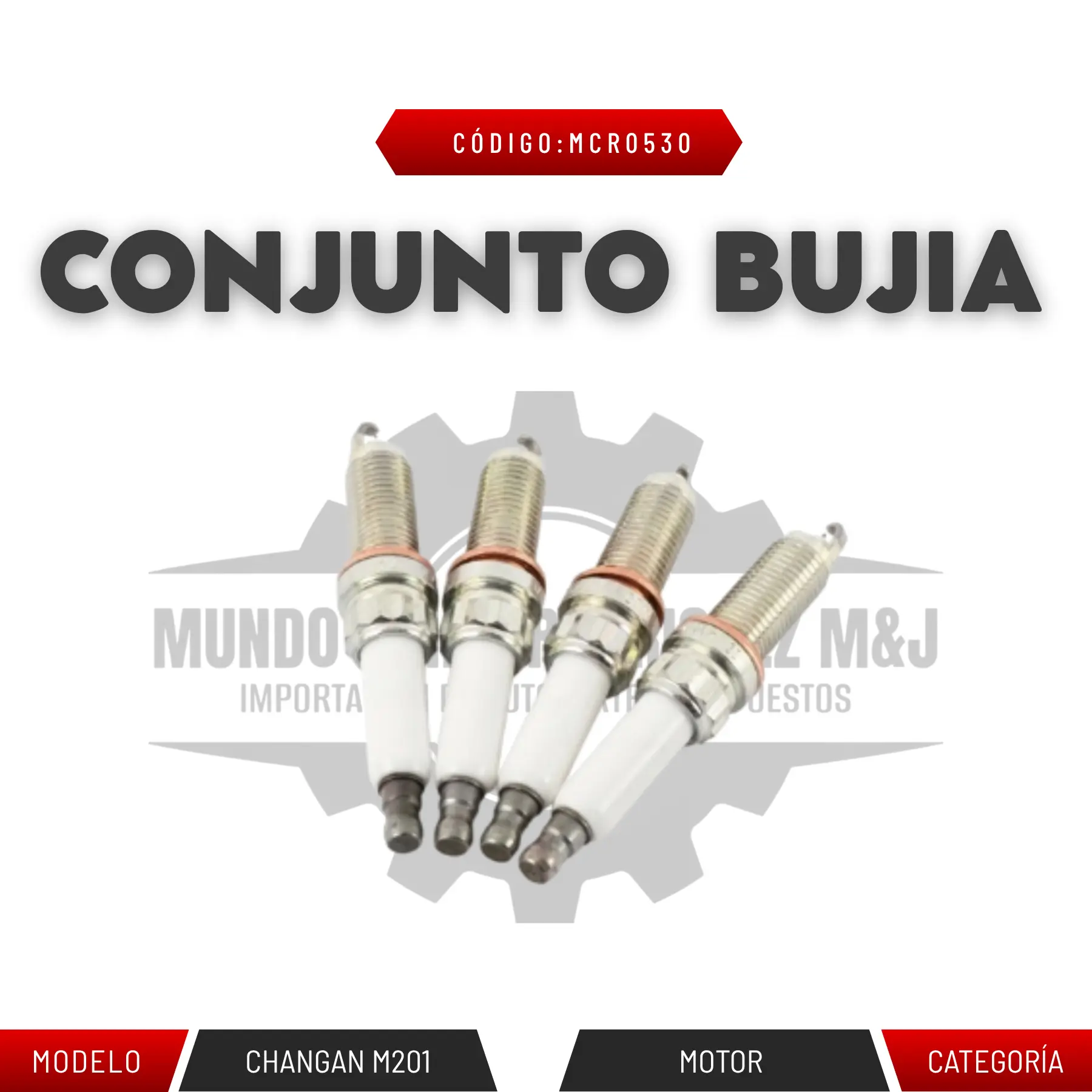 CONJUNTO BUJIA