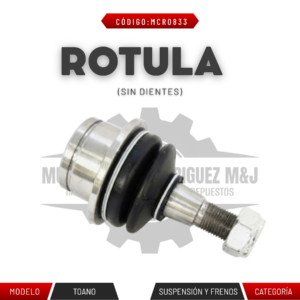 ROTULA SIN DIENTES TOANO