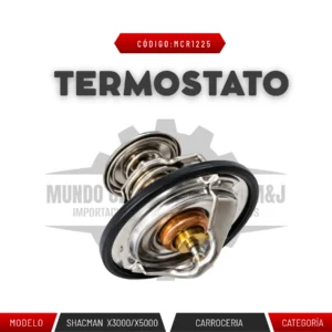 TERMOSTATO