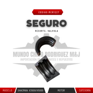SEGURO RESORTE VALVULA