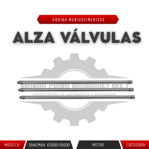 ALZA VALVULAS
