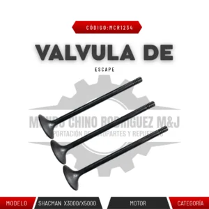 VÁLVULA DE ESCAPE