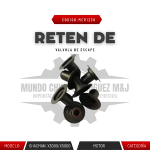 RETEN DE VALVULA DE ESCAPE