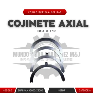 COJINETE AXIAL INFERIOR WP12