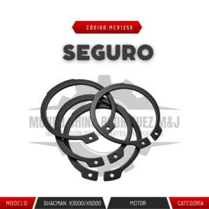 SEGURO