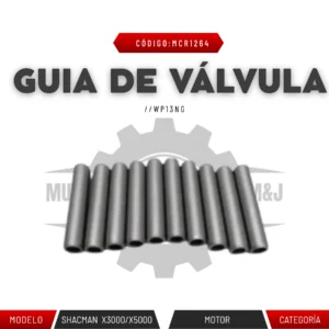 GUIA DE VALVULA