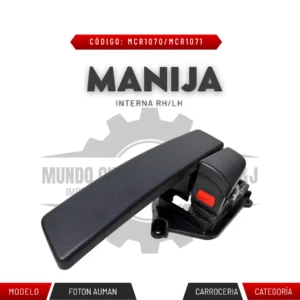 MANIJA INTERNA