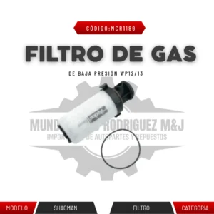 FILTRO DE GAS DE BAJA PRESIÓN WP12/13
