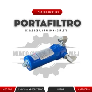 PORTAFILTRO DE GAS DE BAJA PRESIÓN COMPLETO
