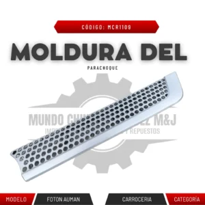 MOLDURA DEL PARACHOQUES